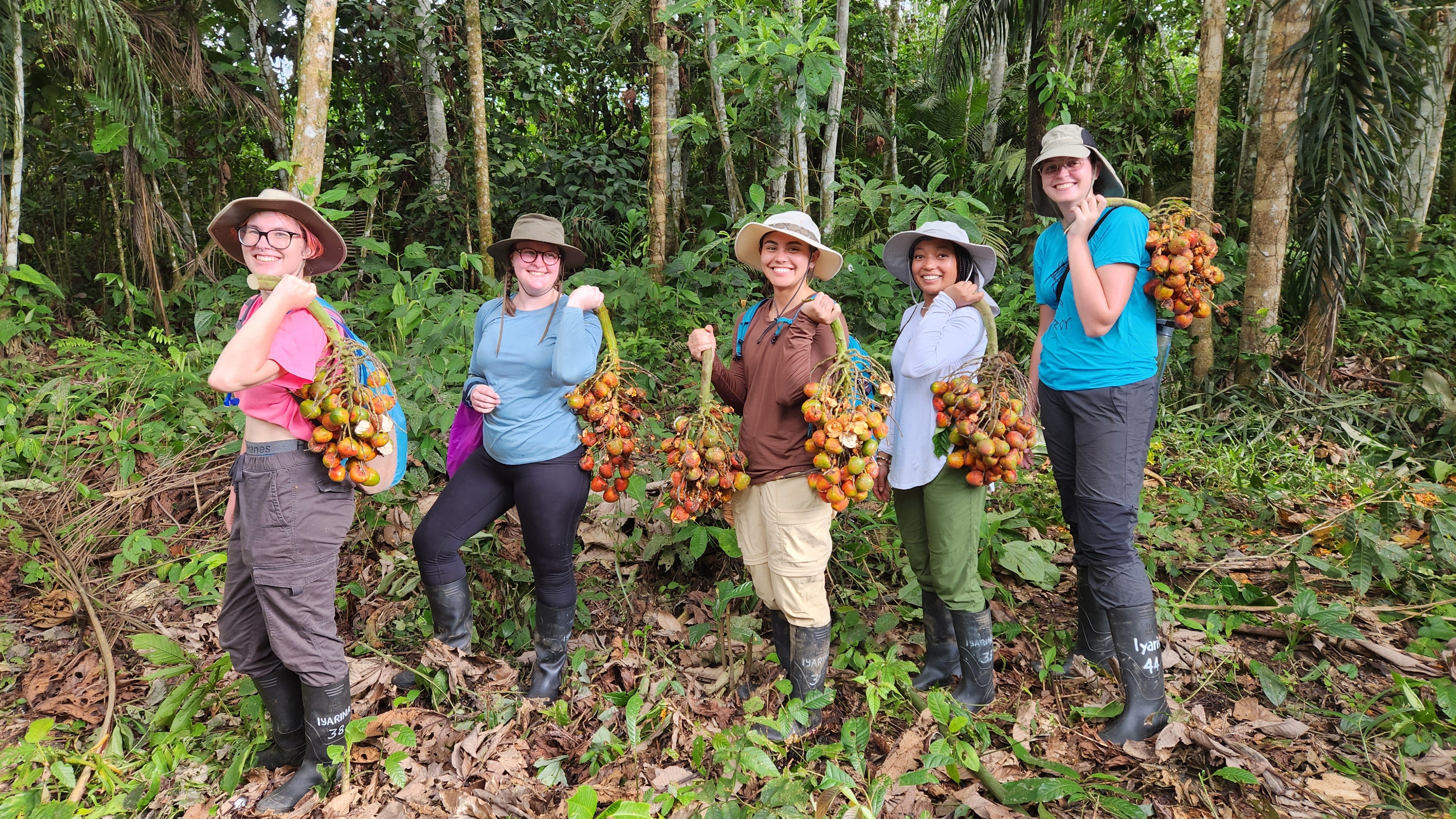left to right: Grace Ward, Emily Hahn, Sydney Rodrigues, Kyley Coleman, Helena Steffens.  Holding chonta fruit bundles harvested by a local Waorani family. 